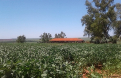 Fazenda para venda em Invinhema
